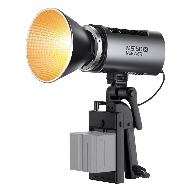 Neewer MS150B Key Light